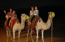Desert Safari With Camel Ride