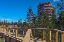 Slovakia Treetop Walk, Zakopane & Thermal SPA from Krakow