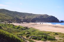 Cabo Migrino Beach & Desert Tour (Quad UTV)