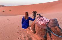 Zagora Desert Tour 1 night&2 days from Marrakech