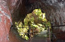 Hilo Shore Excursion: Active Volcano, Lava Tube, Waterfall and Gardens