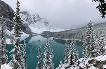 Private Tour of Lake Louise and the Icefield Parkway for up to 12 guests
