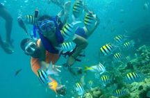 Four Islands Experience Isla Baru