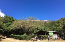 Santa Ana volcano hike with privileged early access. Go safe and skip the crowds