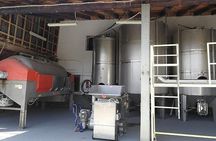 Olive Oil and Wine Private Tour (price per group of 6)