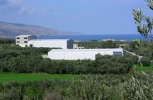 Olive Oil and Wine Private Tour (price per group of 6)