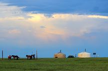Gobi desert Mongolia for 8 days