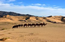 Gobi desert Mongolia for 8 days
