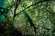 Try dive in beautiful Casa cenote for 2 people