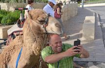 Boutique Walking Tour of Jerusalem