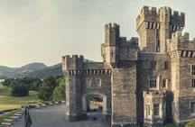 Beatrix Potter - Half Day - Up to 4 People
