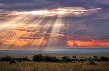 6 Days Maasai Mara/Nakuru/Amboseli Group Safari