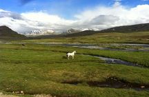 9 Days Tour to Skardu, Deosai, Rama meadows From May to October