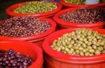 Athens Gourmet Food Small Group Walking Tour 
