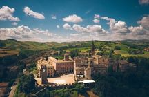 Centenary Balsamic Vinegar of Modena - Acetaia Tour & Tasting