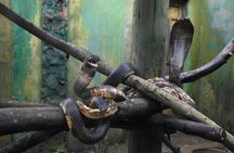 Entebbe Eco Tour - Full Day 