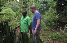 Entebbe Eco Tour - Full Day 