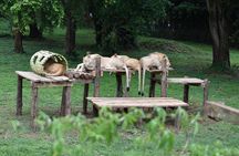 Entebbe Eco Tour - Full Day 