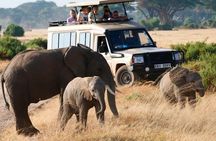 3 Days 2 Nights Masai Mara Safari staying inside the park