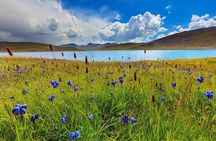 9 Days Tour to Skardu, Deosai, Rama meadows From May to October