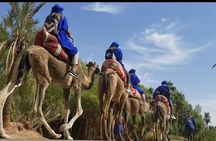 Ultimate Marrakech Desert Adventure: Camel Rides & Buggy Thrills
