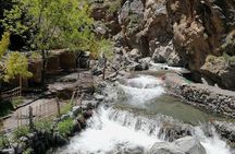 Day trip to Atlas mountains waterfall & Agafay camel Ride experience