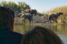 Breakfast Cruise on the Zambezi River from Victoria Falls