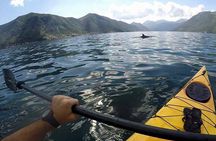 Kayak active tour