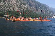 Kayak active tour