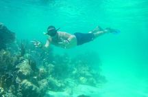 A beach day with open bar, lunch and snorkeling LOS ARRECIFES RESTAURANT