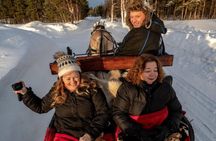 Sleigh or wagon ride in the arctic Country side 