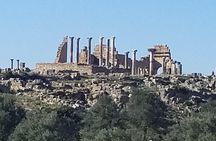 Excursion privée d’une journée à Meknes volubilis et Moulay Idris