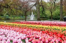 Private Keukenhof Gardens Tour From Amsterdam 