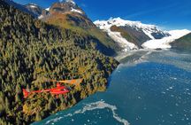 Prince William Sound Tour with Glacier Landing from Girdwood