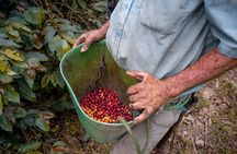 Coffee Tour.