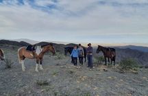  Horseback riding and roast in the mountains of Mendoza