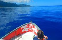 Boat tour 1/2 day Excursion in the lagoon of Moorea