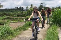 Half Day Cycling Tour ( Manual Bike )