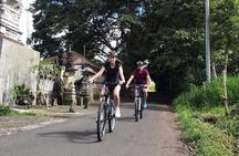 Half Day Cycling Tour ( Manual Bike )