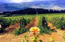 Full-Day Private Wine Tasting Tour