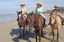 Seminyak Beach Horse Riding in the most beautyfull beach In bali