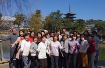 All must-sees in 3 hours - Nara Park Classic Tour! From JR Nara!