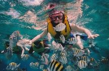 Full-Day Racha Noi and Racha Yai Snorkeling from Phuket