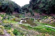 Tour to Parque Tricao + Aviario and Pomaire full day from Santiago