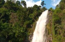 Waterfalls, Coffee, Hotsprings, Food Cuisine, & Serval Wildlife 