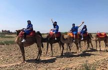 Atlas Mountains, Waterfalls Day Trip From Marrakech & Camel Ride