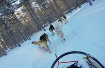 Husky safari