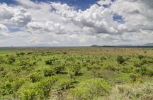 2 Days Pian-Upe game Reserve