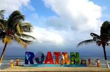 West End Tour (Choco Factory + Rum Company + Art Gallery + Rusty Fish and more)