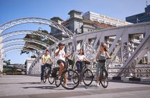 Historical Singapore Bike Tour on Full-Sized Bicycles